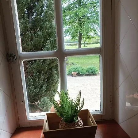 L' Herissaudiere-Grand Gite Pernay Extérieur photo